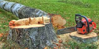 Best Firewood Processing and Delivery  in Harrison, WI